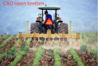 cao open teelten